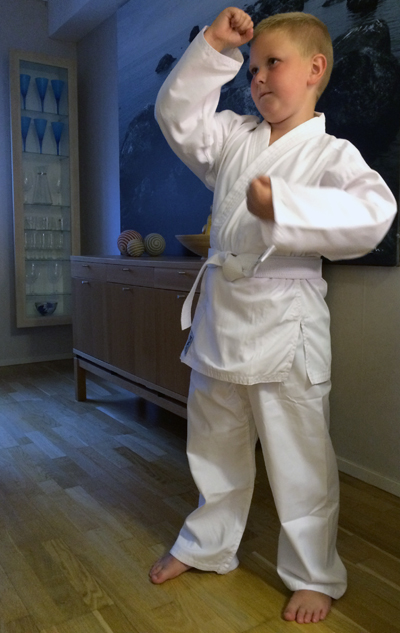 neo_karate